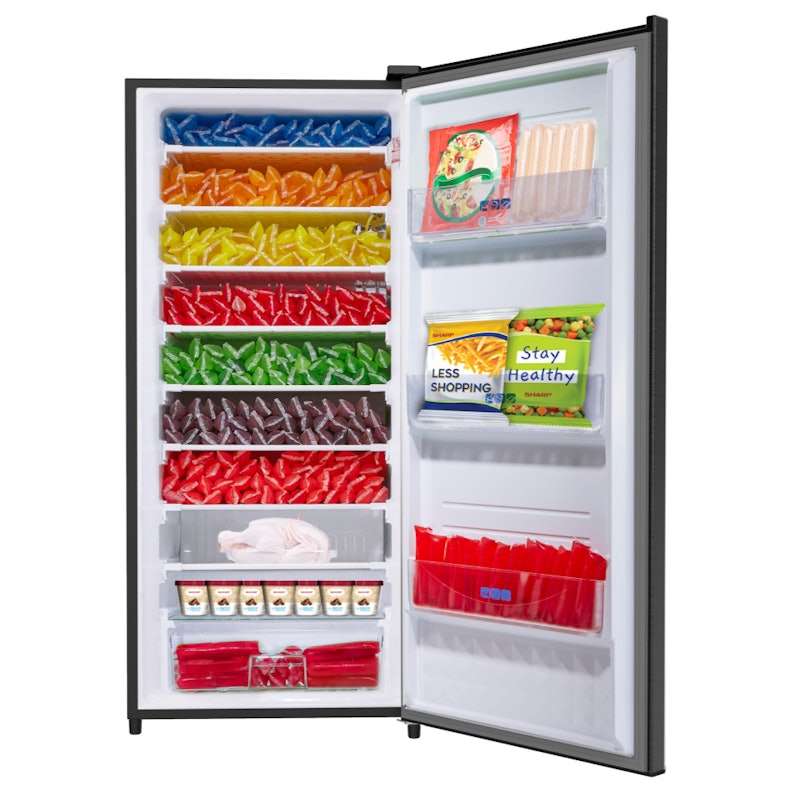 Standing Freezer 3