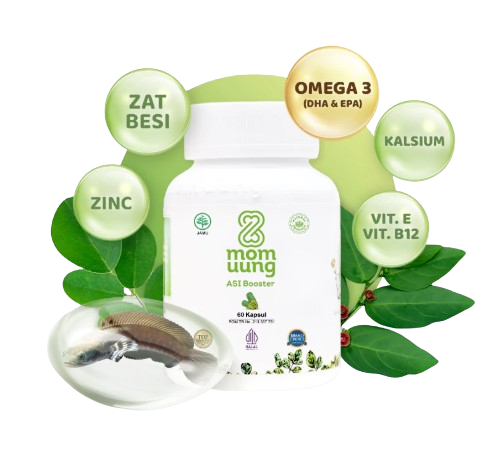 Ibu Anak Sukses Mom Uung Asi Booster