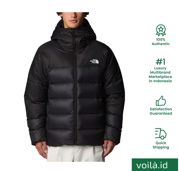 VF Corporation The North Face NSE Down Puffer Jacket