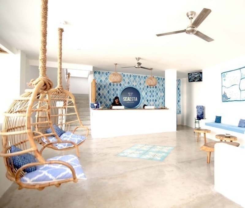 Seaesta Komodo 4