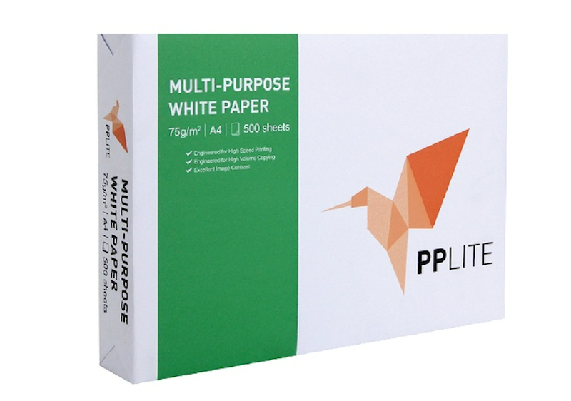 PP Lite 1