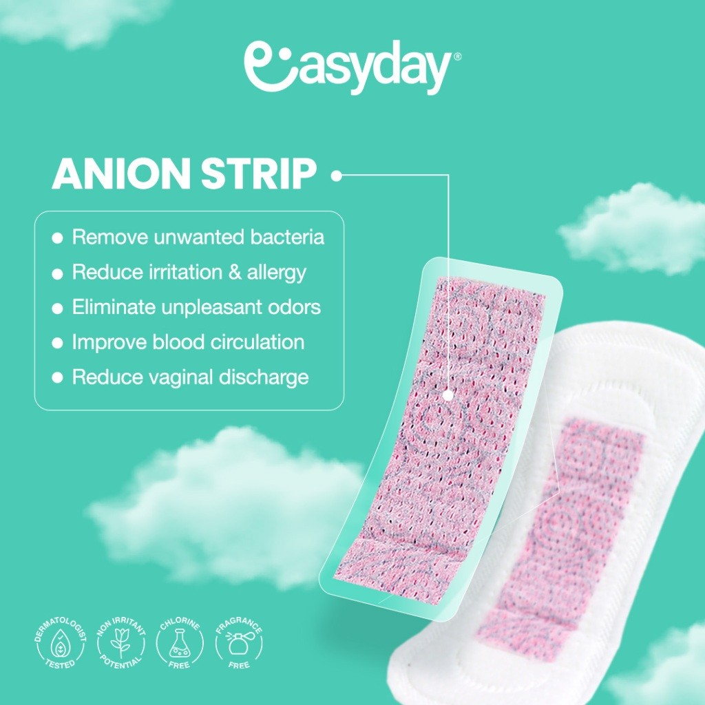 Easyday® Panty Liner 3