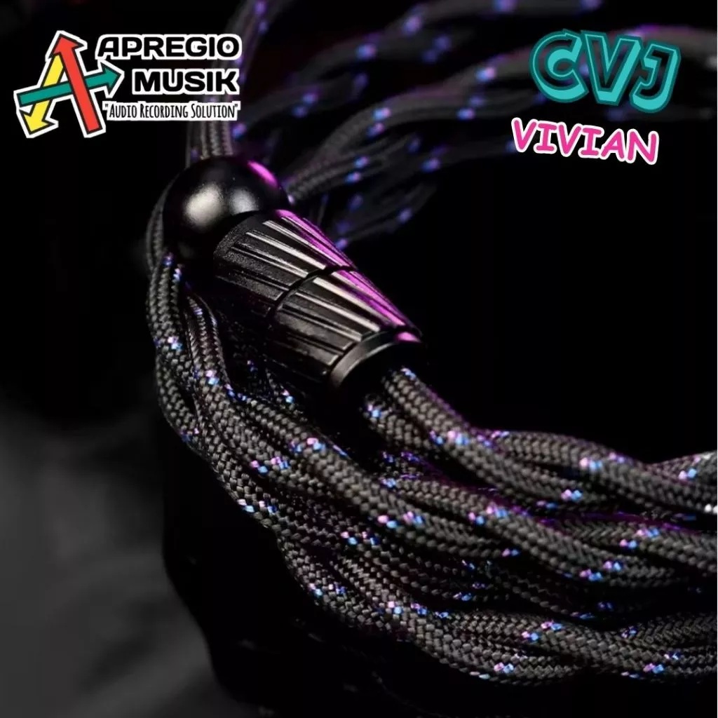 CVJ Vivian 10mm Dynamic Driver In Ear Monitor ACG Edition (Anime) 3
