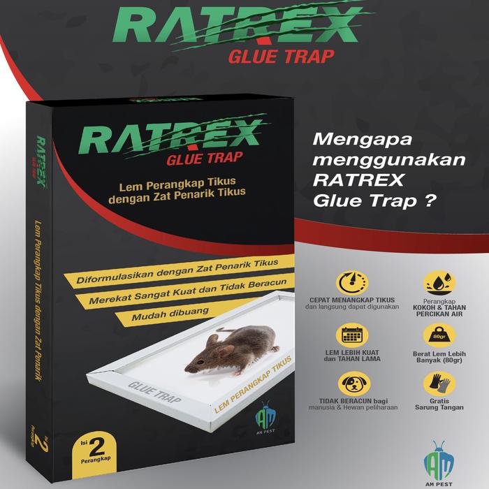 Ratrex Glue Trap