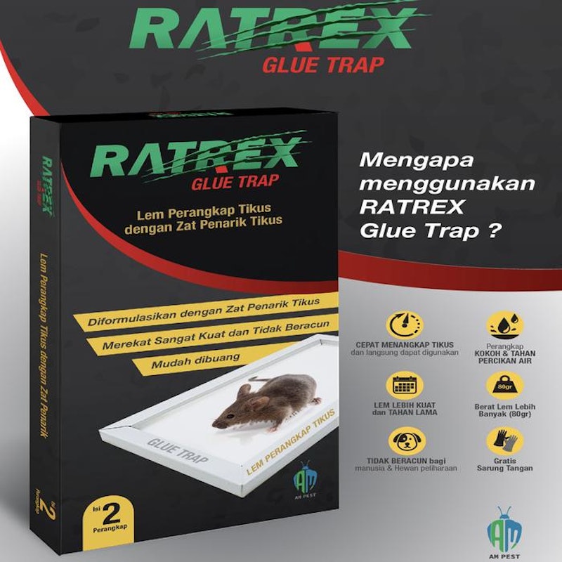 Ratrex Glue Trap 5