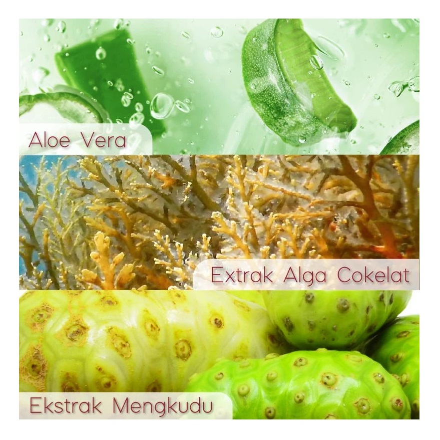 Neo Kosmetika Indonesia Kezia Beauty Breast & Buttocks Cream