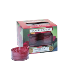 Pink Hibiscus
