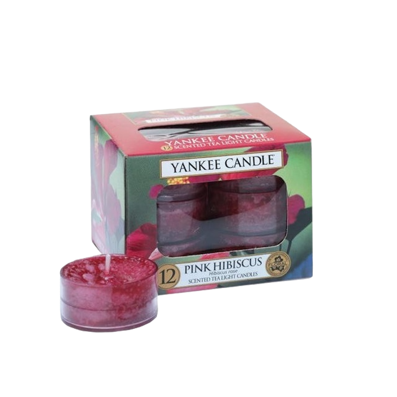Pink Hibiscus 1
