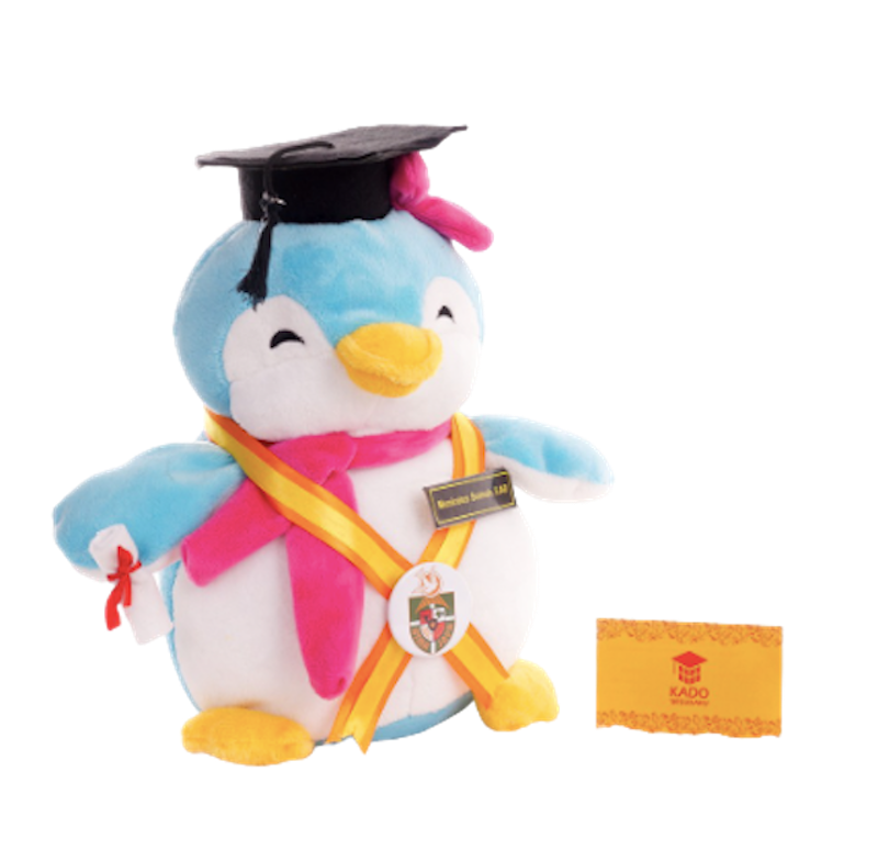 Boneka Wisuda Penguin 2