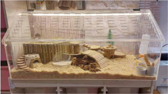 Kandang Hamster Custom Trapesium