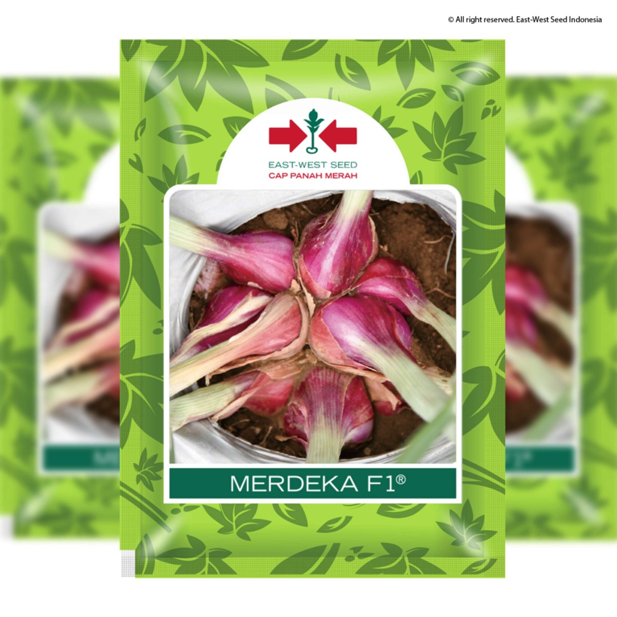 Cap Panah Merah - Benih Bawang Merah Merdeka