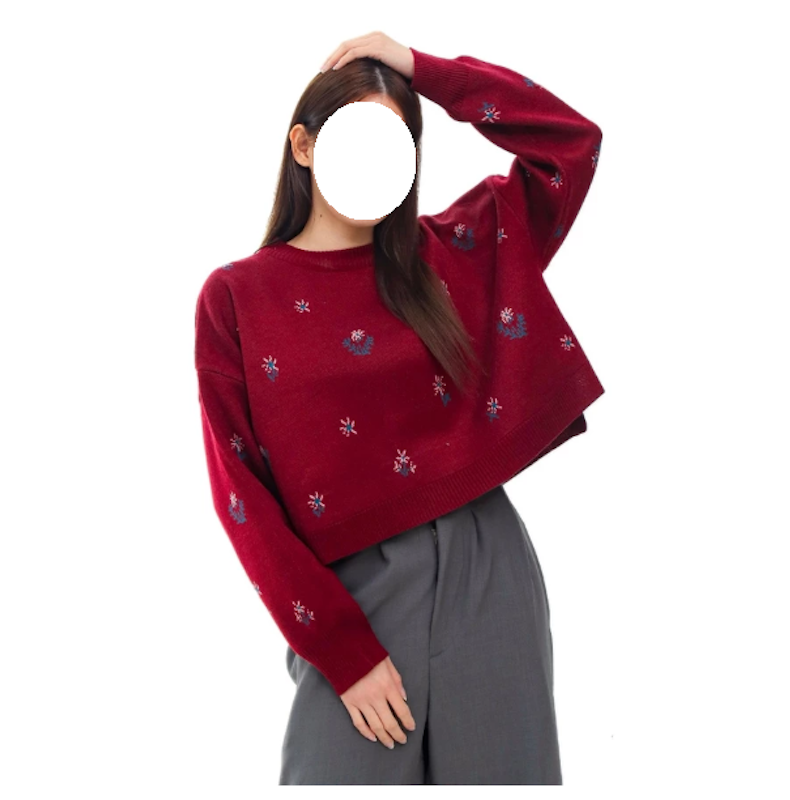 Loony Odile Sweater 5