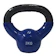 Stamina Sports Kettlebell 1