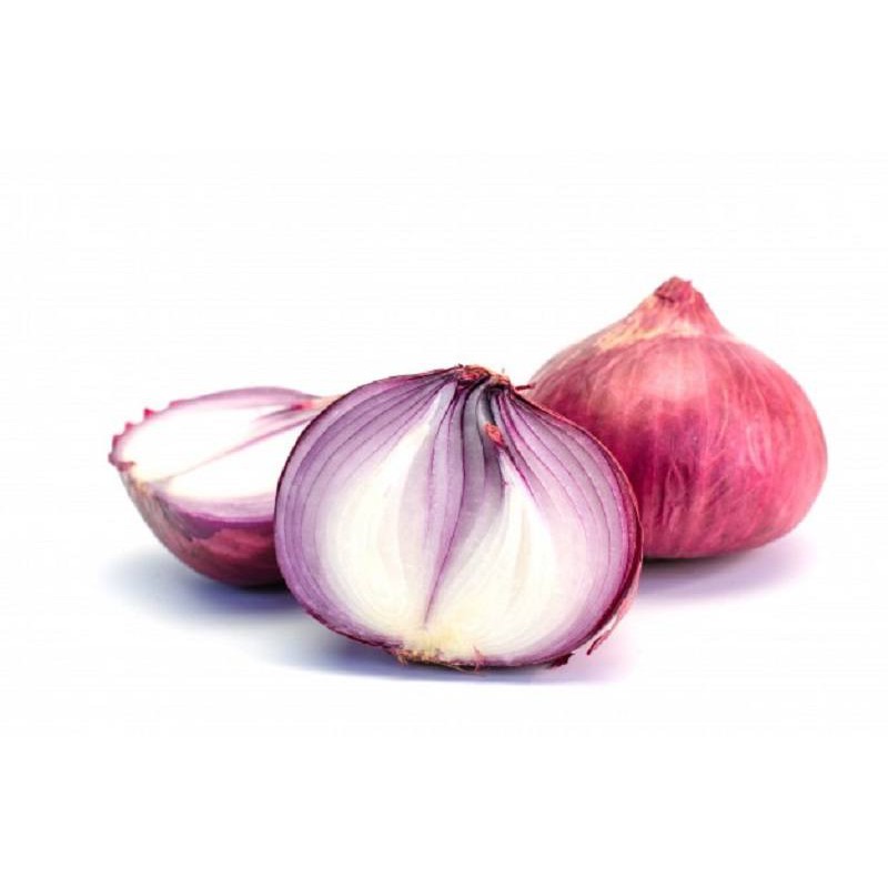  Panda Farm Benih Biji Bawang Merah 