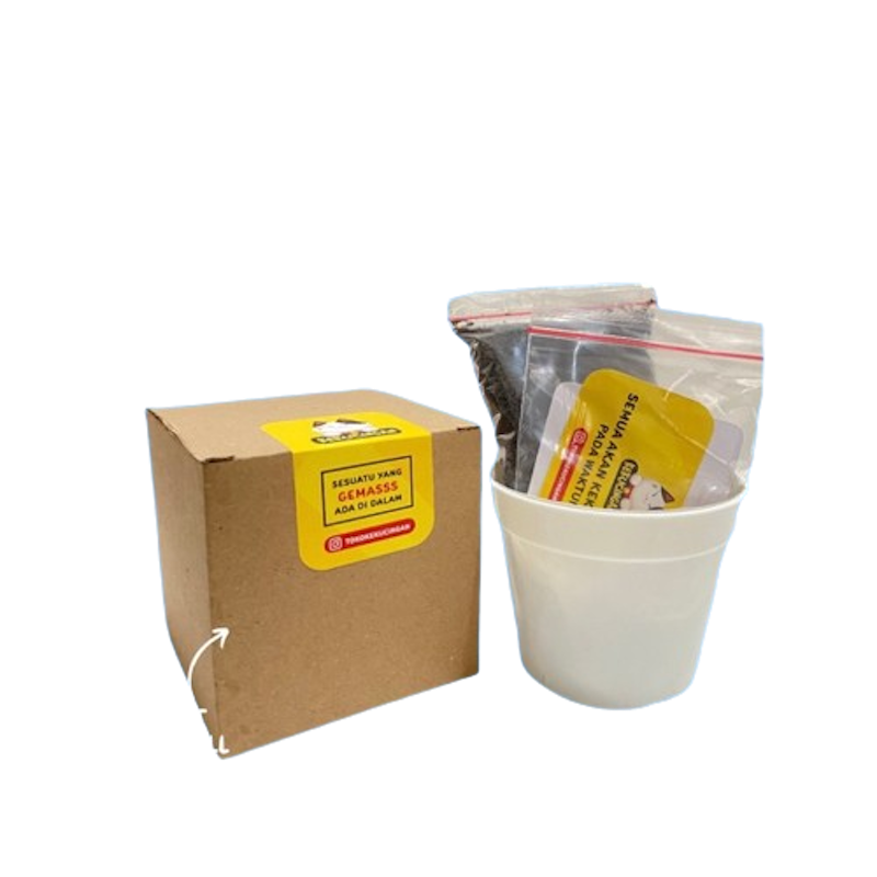 Kekucingan Paket Tanam Wheatgrass 1