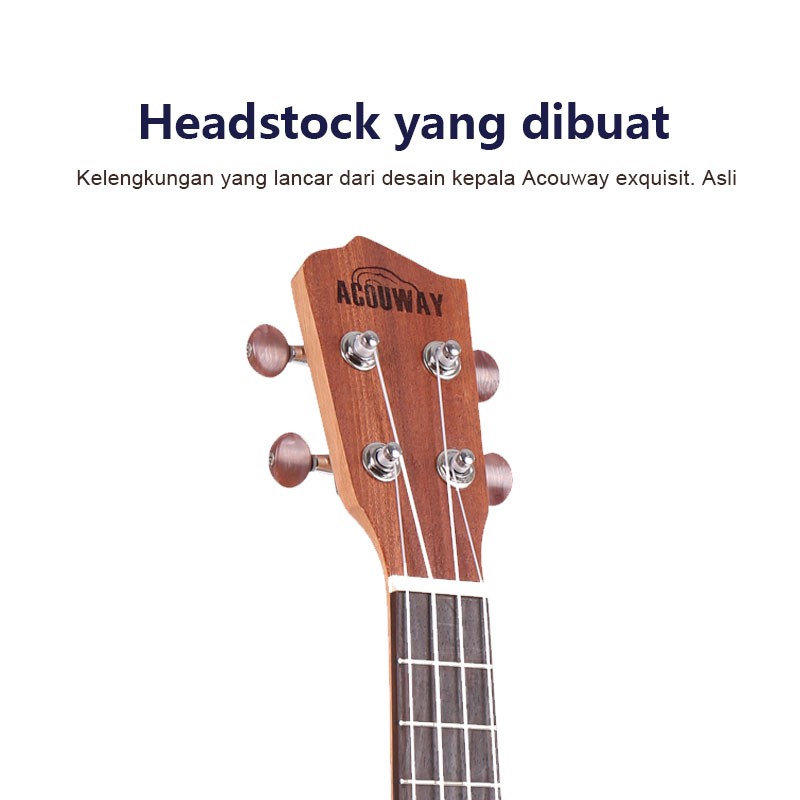 Ukulele Concerto 3