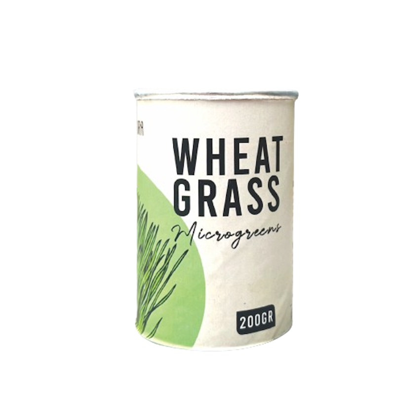 TANDURIA - Benih Wheatgrass 200gr 1