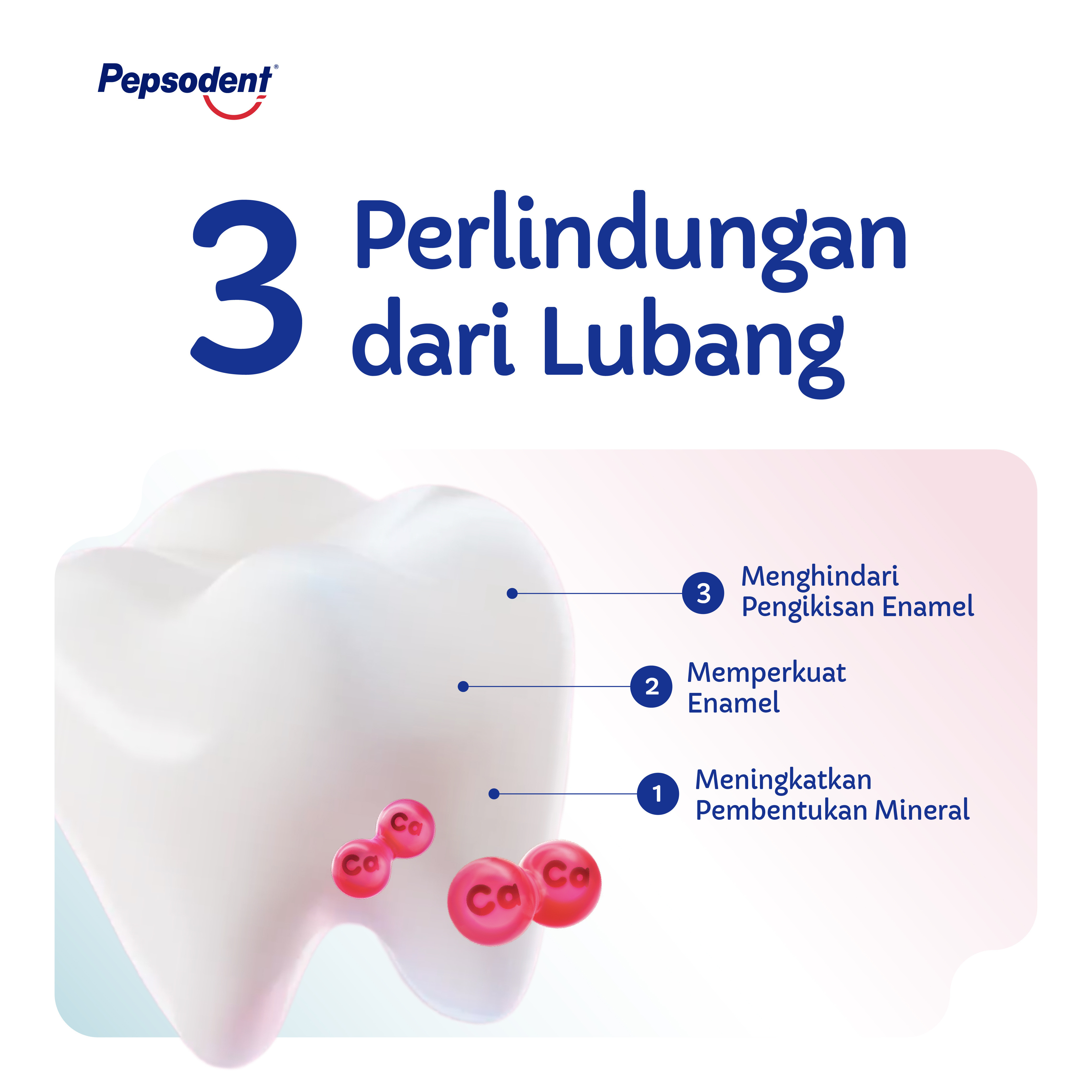 Pencegah Gigi Berlubang Double Kalsium 2