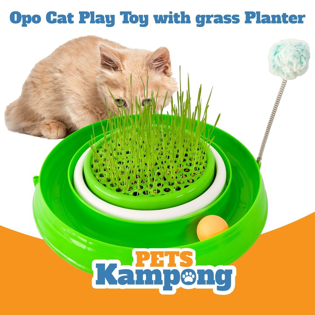 Opo Cat - Play Toy with Grass Planter  2