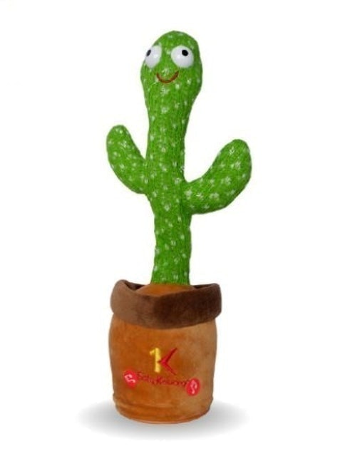 Kaktus Menari  ｜ M179