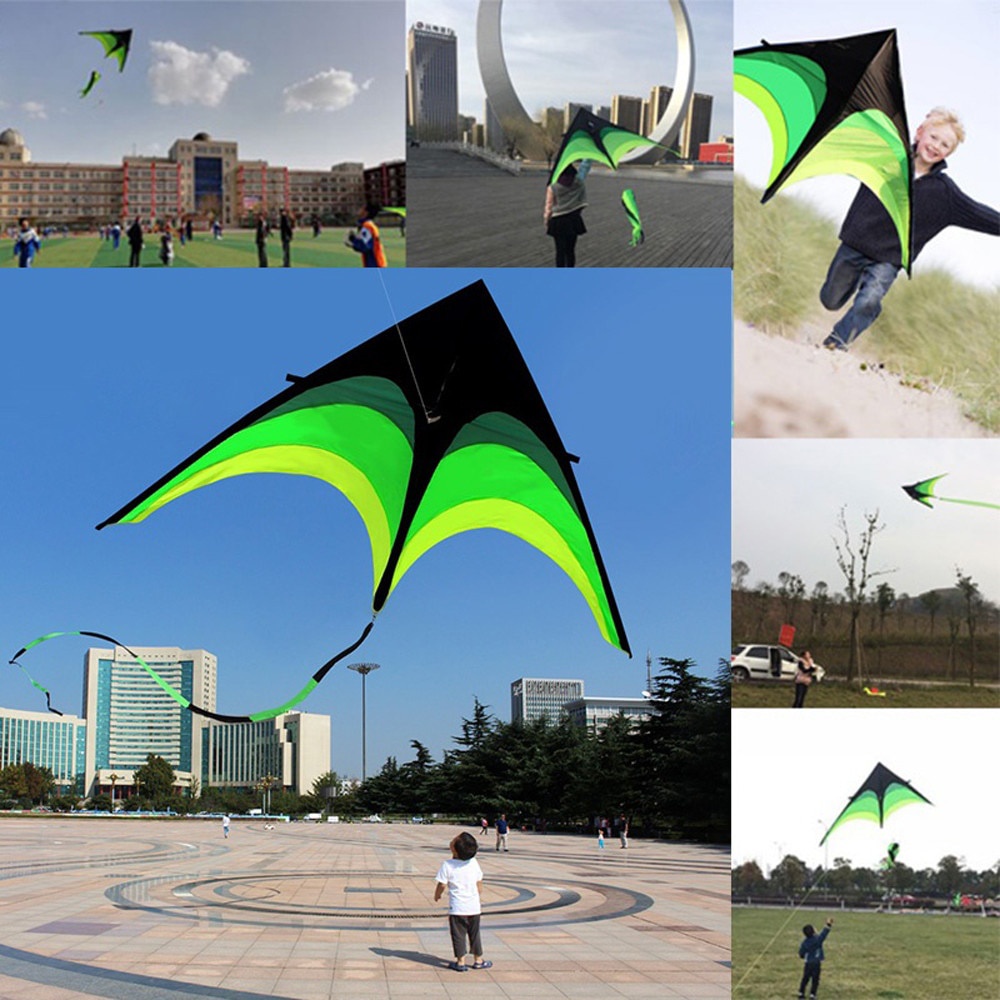 Sport Beach Fly Kite 5