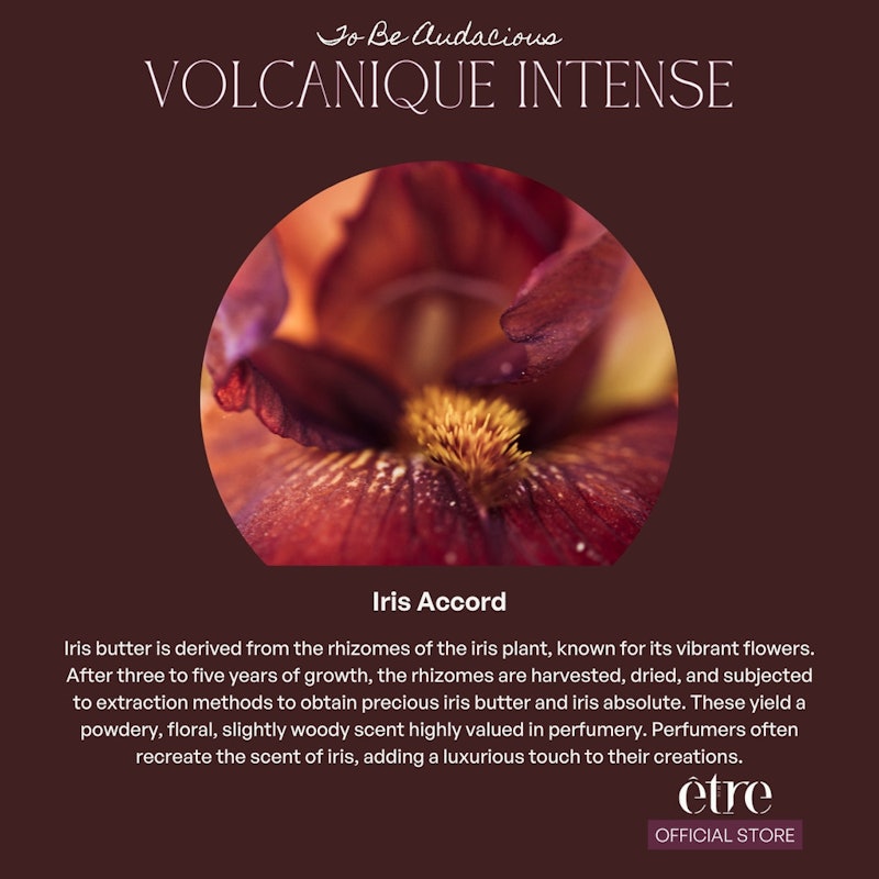 Être Parfums Volcanique Intense 3