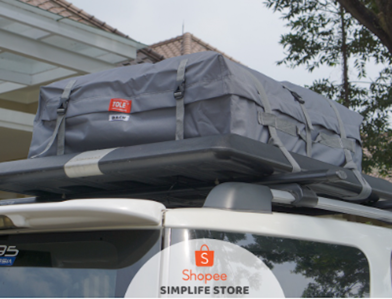 Roof Bag Car Carrier 5