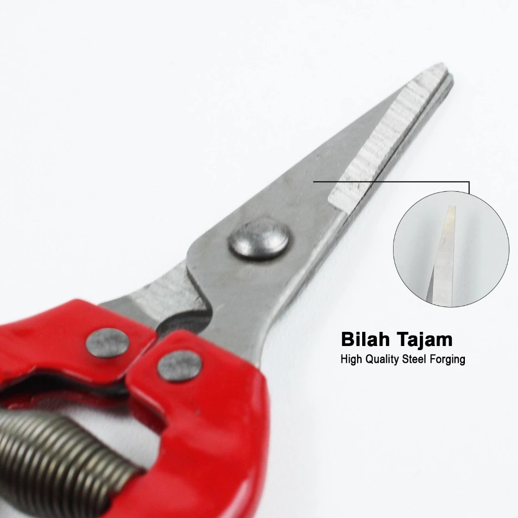  Allefix Thinning Shears  6695