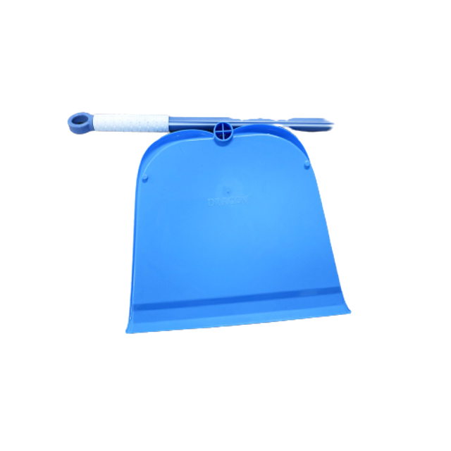 Dragon Pengki Florence 