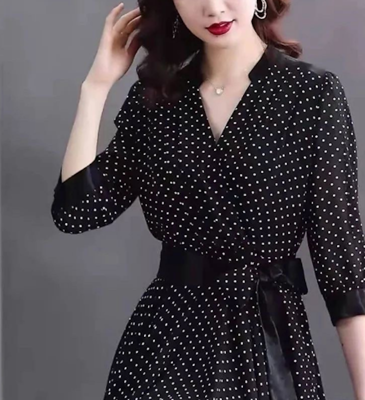 Korean Chiffon V Neck Dress Small Dots 4