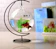 Hanging Fish Tank 1