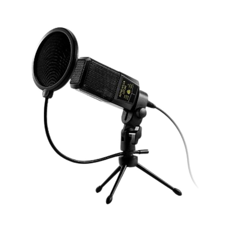 Kivee Black Live Microphone 1