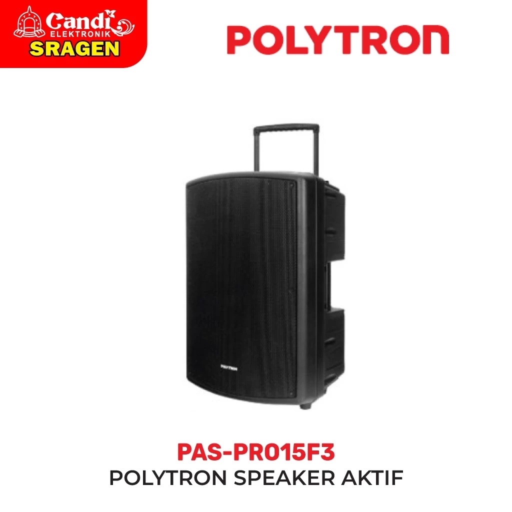 POLYTRON Polytron Professional Salon Active Speaker 15 inch PAS PRO15F3