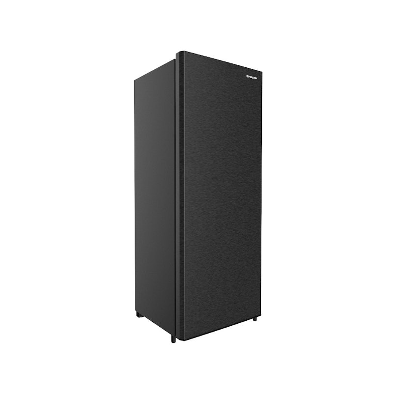 Standing Freezer 2