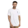 Edwin T-Shirt 7.0 Isolated White 1