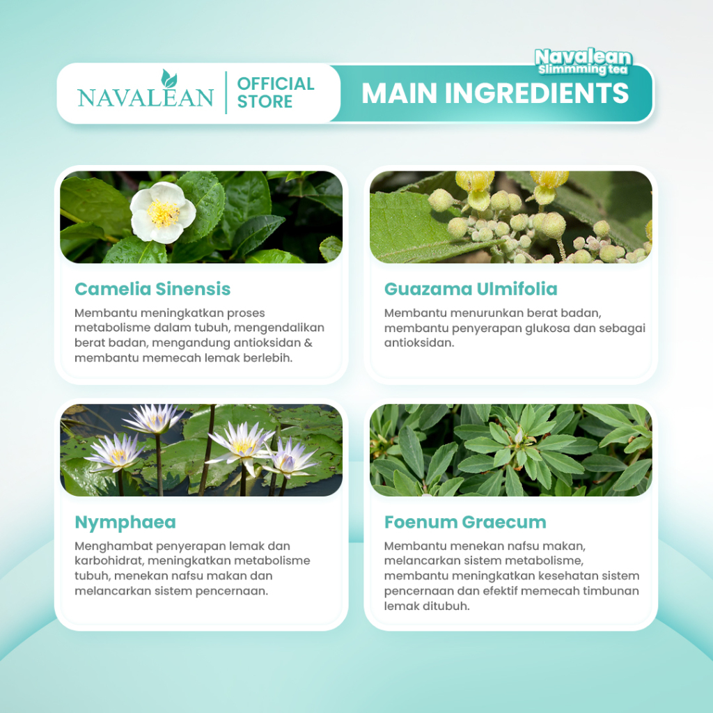 Tanata Herbalindo Utama Navalean Teh Hijau Celup