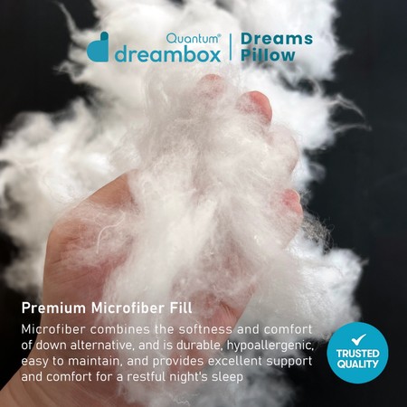 Dreambox Dreams Pillow 4