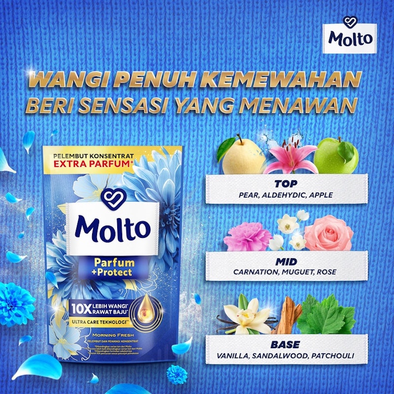 Molto AIO Blue 4