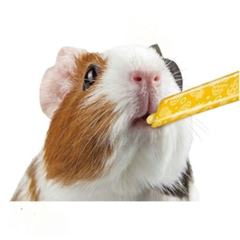 Pineapple Flavoured Puree for Guinea Pigs 3