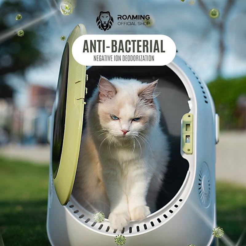 Roaming Cat Luggage 3