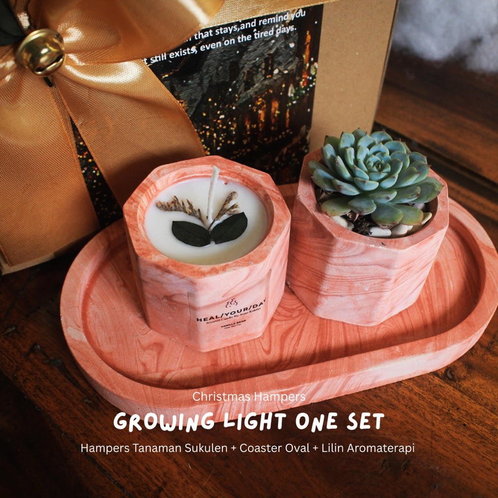 Sono Kaktus Growing Light One Set 