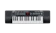 Alesis Harmony 32 Key Portable Keyboard with Built In Speakers 1