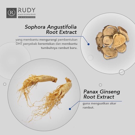 Martina Berto Rudy Hadisuwarno Hairloss Solution Shampoo