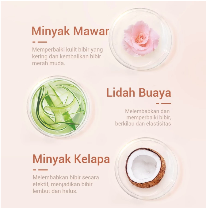  LANBENA Aloe Vera Lip Mask