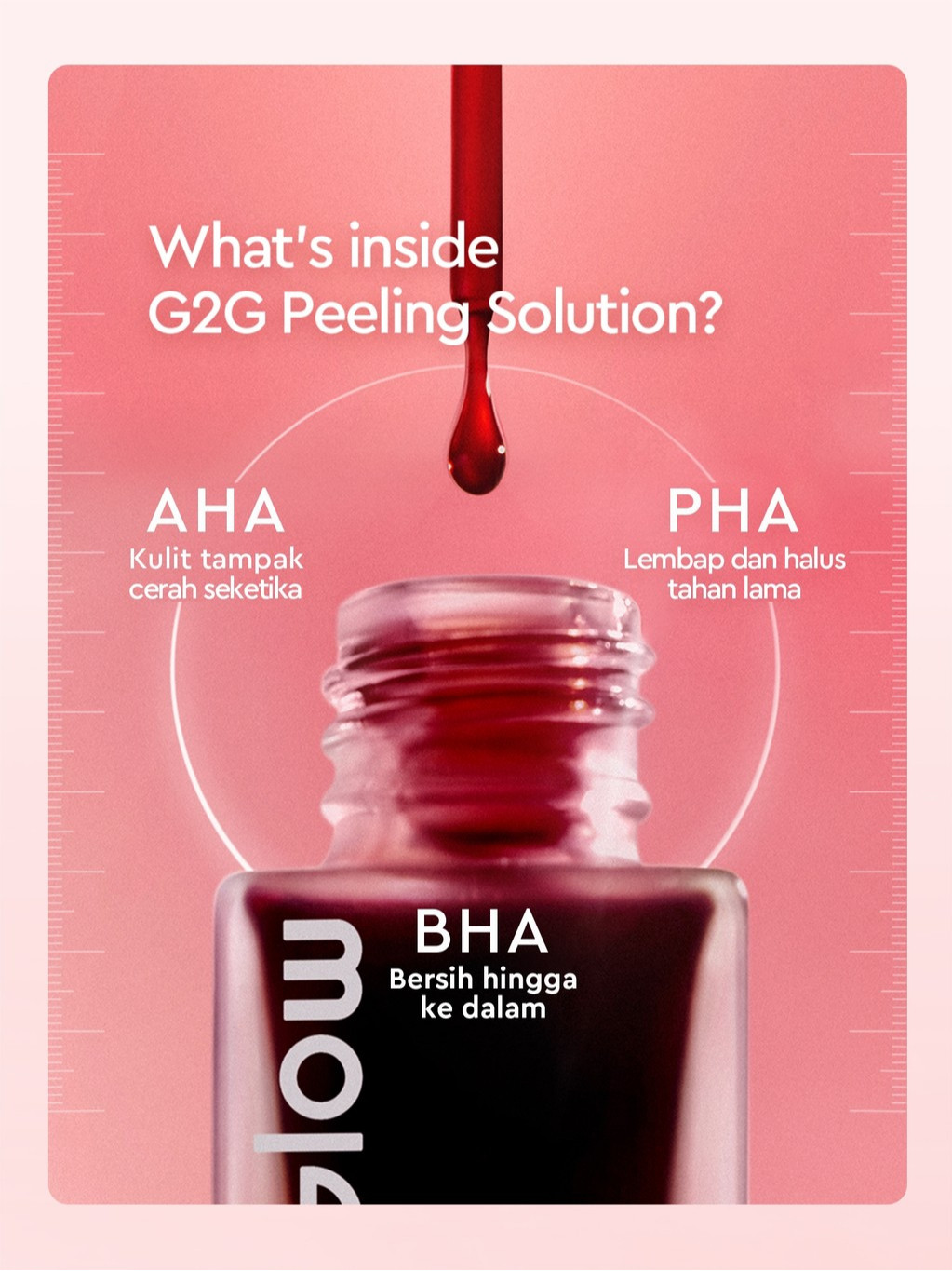 Suntone Wisdom Indonesia Glad2Glow Peeling Solution