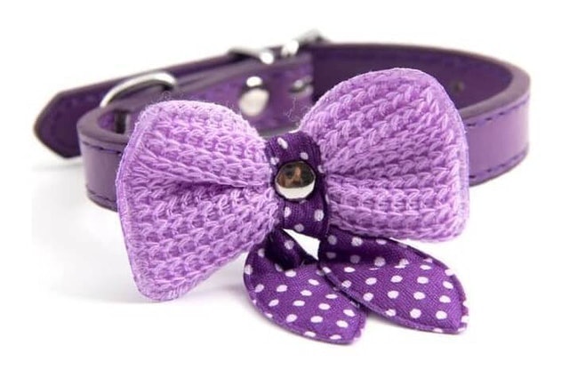 Kalung Anjing Kucing Pita Mini