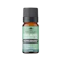 Apotles Essential Apotles Essential Peppermint Essential Oil 1