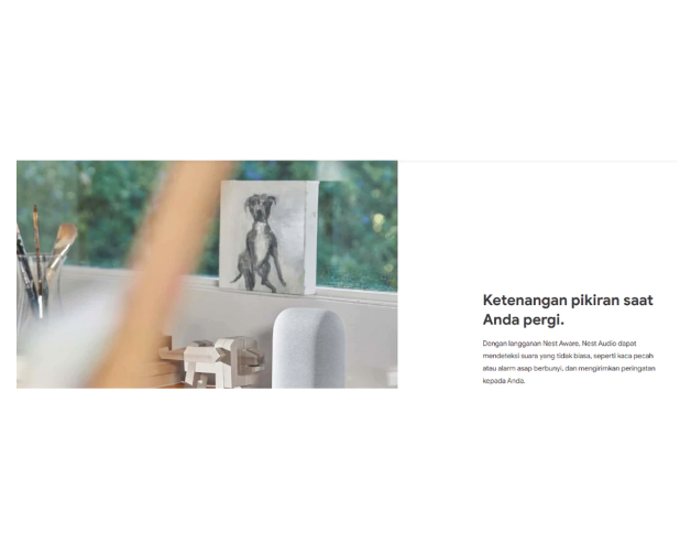 Google Google Nest Audio