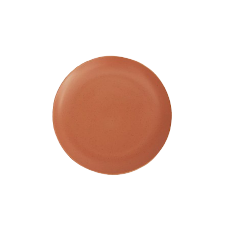 Tataruma Kyokai Plate Terracotta 1