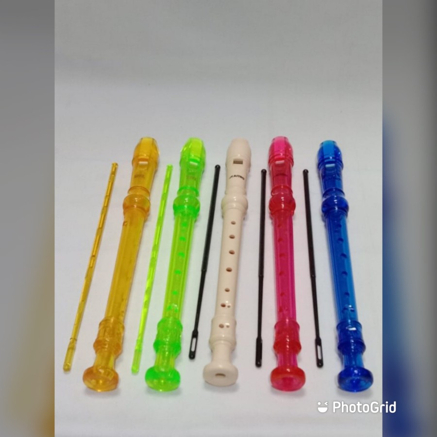 DHS 8-Hole Soprano Plastic Recorder 4